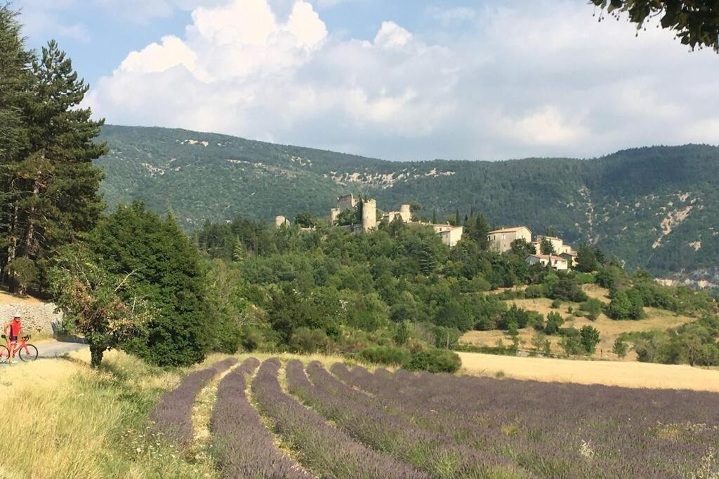 La Vue Est Belle Apartment Montbrun-les-Bains Bagian luar foto