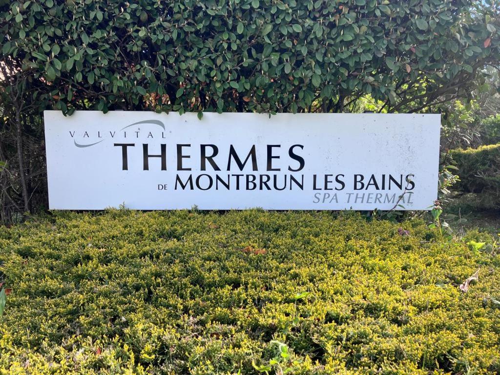La Vue Est Belle Apartment Montbrun-les-Bains Bagian luar foto