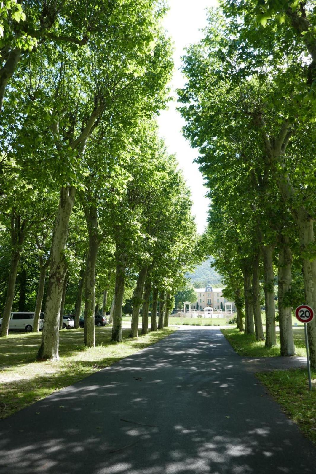 La Vue Est Belle Apartment Montbrun-les-Bains Bagian luar foto